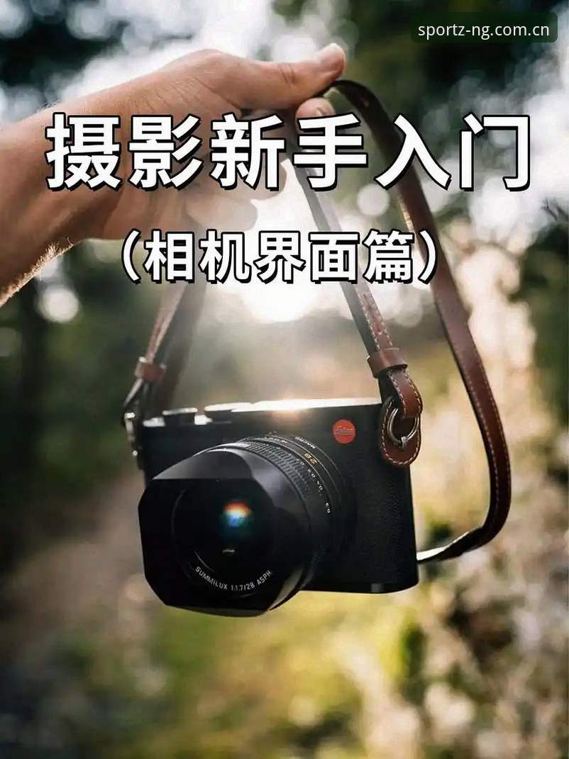 NG体育平台新手入门：官网地址查找与使用全教程